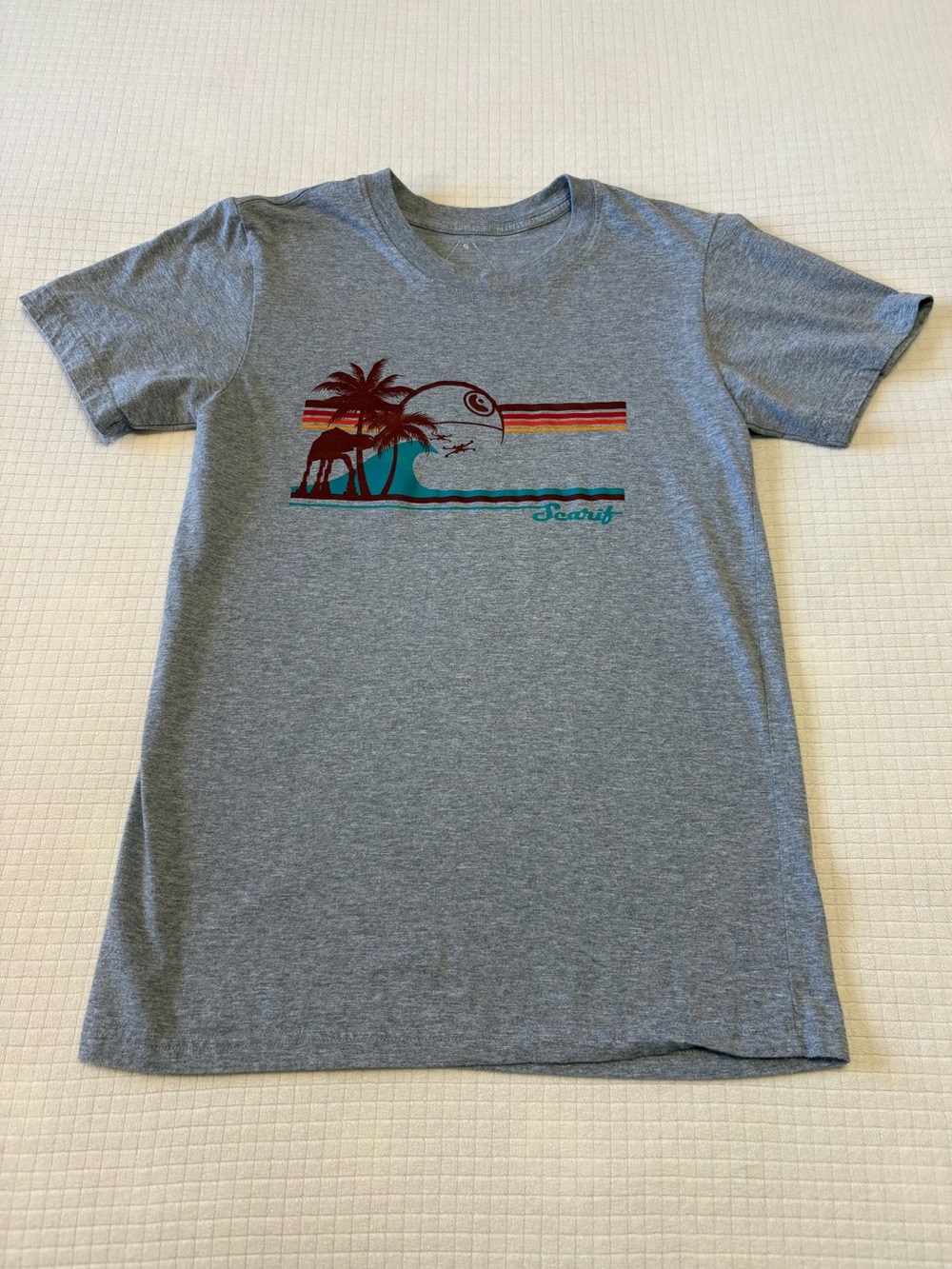 Star Wars Scarif light gray short sleeve tee